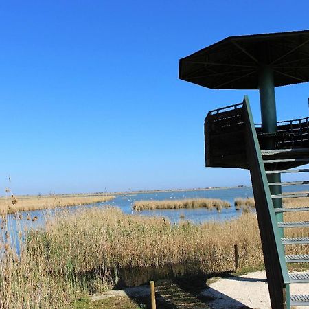 Quet - Casa Rural Con Piscina Privada En El Delta Del Ebro - Deltavacaciones Deltebre Ngoại thất bức ảnh