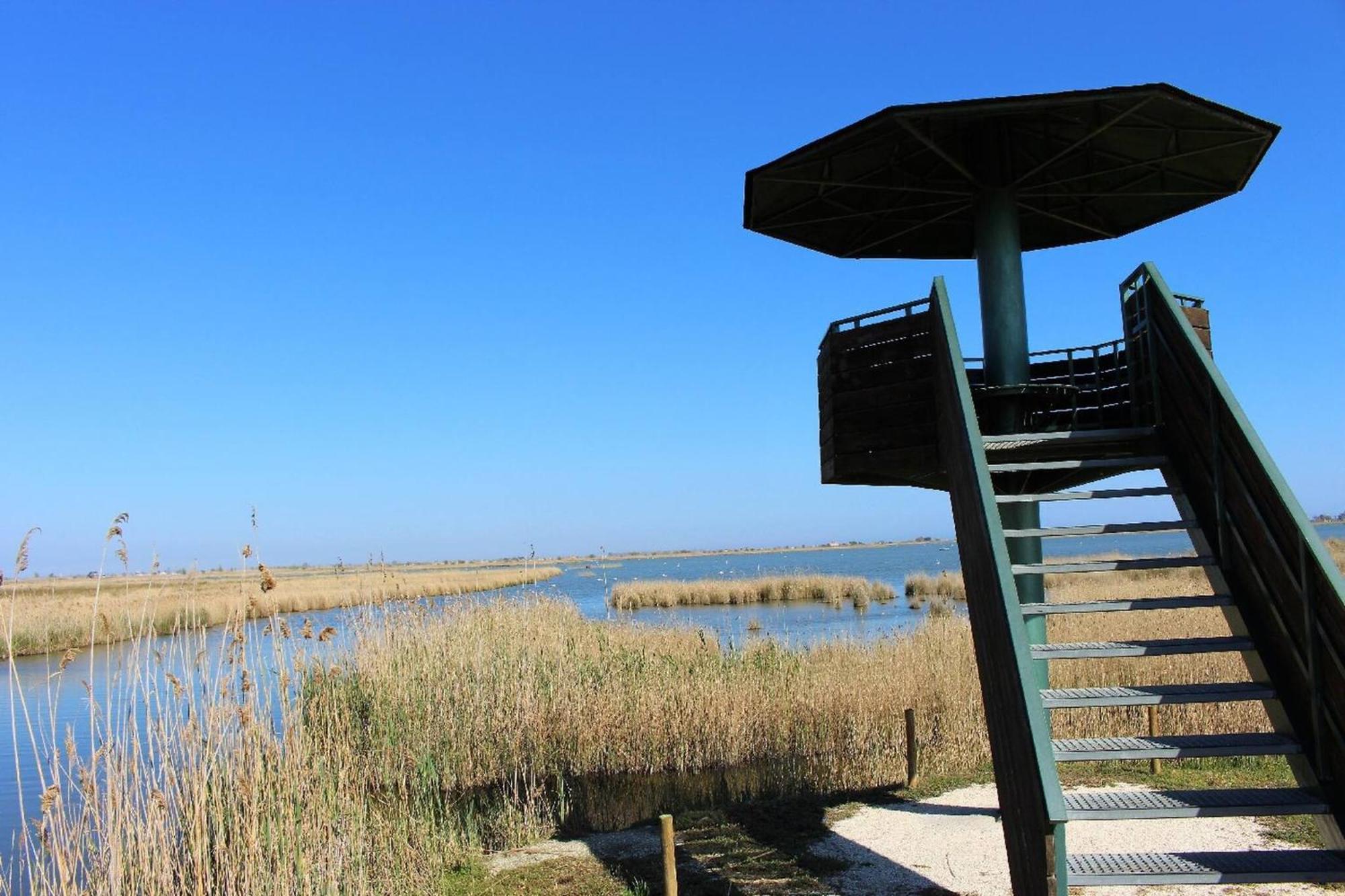 Quet - Casa Rural Con Piscina Privada En El Delta Del Ebro - Deltavacaciones Deltebre Ngoại thất bức ảnh
